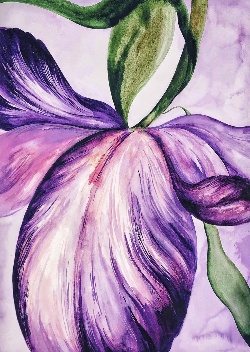 Gemälde Makro Tulpe II - dianacojocaru.de