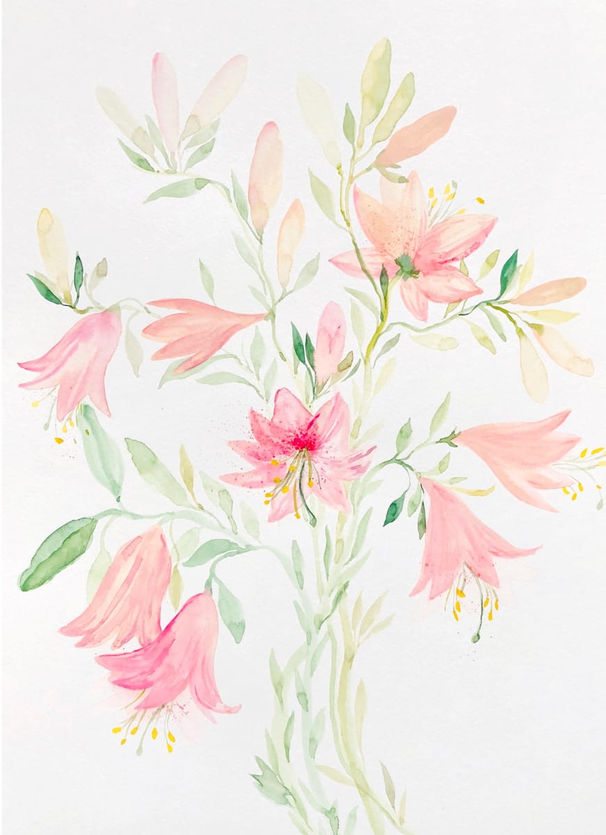 Durchsichtige Lilien - dianacojocaru.de