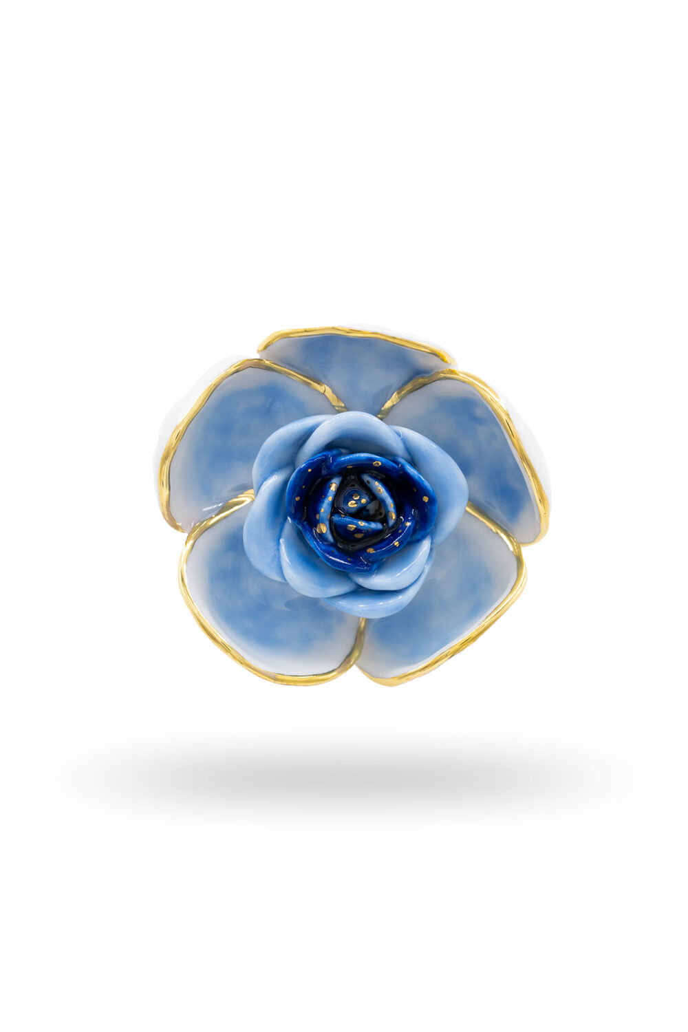 Vorwinterliche Blüte - dianacojocaru.de