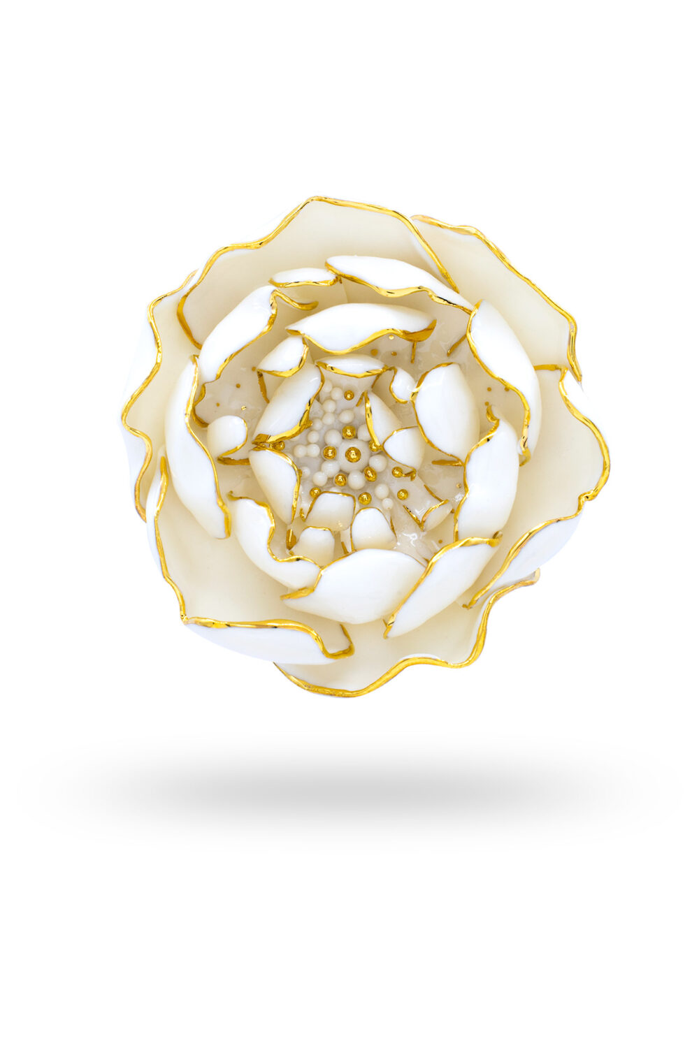 Reine Pfingstrose - dianacojocaru.de